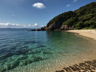 The tranquil whale beach of Amami Island in Kagoshima Prefecture.