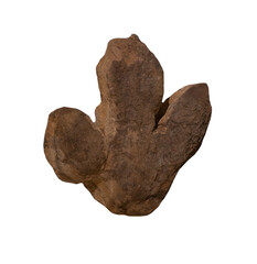 dinosaur footprint fossil of Iguanodon on white, isolated