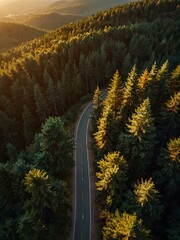Top view of a mountain road in a forest at sunset.