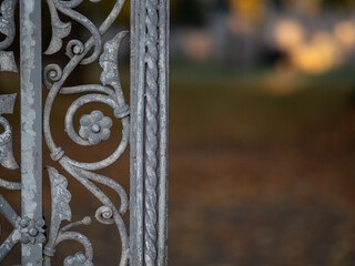 vintage and old fence of garden