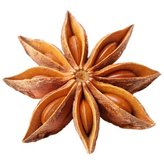 Single star anise isolated on a white background, PNG file