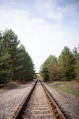 Railway along the forest.