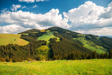 Spectacular landscape of spring mountain slopes and hills on a bright sunny day. Carpathian mountains, Ukraine, Europe.