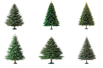 Obraz premium Christmas trees in various natural styles with green and frosted branches, ideal for festive decorations, seasonal projects, and transparent PNG uses.