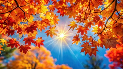 Vibrant autumn scene with orange and red maple leaves against blue sky, sunlight filtering through trees creating golden glow