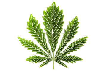 Cannabis Leaf: A vibrant, detailed close-up of a cannabis leaf, showcasing its intricate veins and rich green hues. This image is perfect for representing the plant's natural beauty, growth.