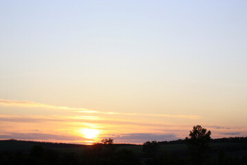 Obraz premium Summer Bloom: Nature Flourishing Beyond the City