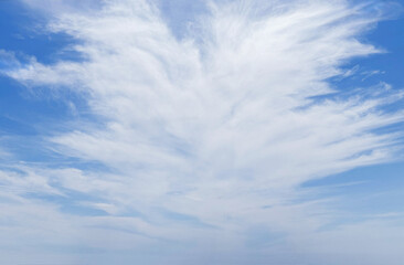 Fototapeta premium White cloud cirrus in sky
