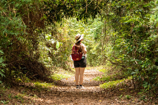 Mujer viajera descubriendo la densa jungla del Parque Nacional Iguaz&uacute;, en el sendero Macuco	