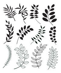 Set of leaves. Hand drawn decorative elements.