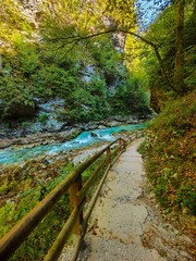 The Vintgar river canyon, Bled, Slovenia in a sunny day