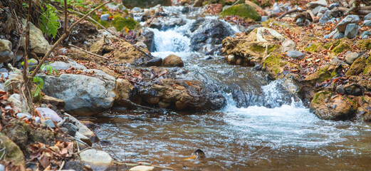 Creek with water flowing in autumn.