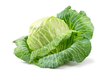 Fototapeta premium Fresh cabbage isolated on white background. Clipping path.