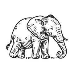 Fototapeta premium Hand drawn elephant outline illustration on white background