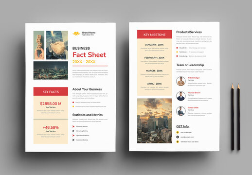 Business Fact Sheet Flyer