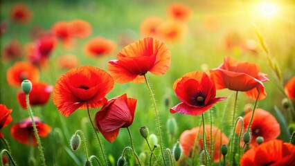 Obraz premium Vibrant red poppies contrasting against lush green grass, flowers, nature, beauty, meadow, vibrant, colorful, red, poppy