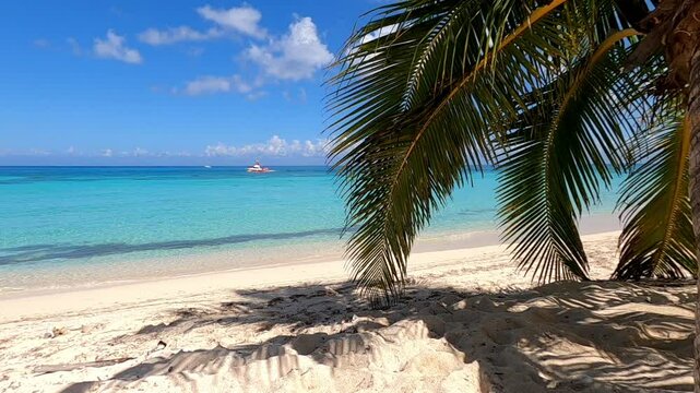 HD video of a Caribbean beach with palm trees moved by the sea breeze with the Caribbean Sea in the background and boats sailing near the coast of Cozumel Island in Mexico