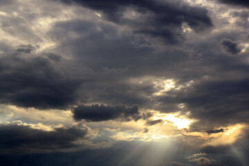 Obraz premium Sunset Over the Field: Nature's Golden Hour