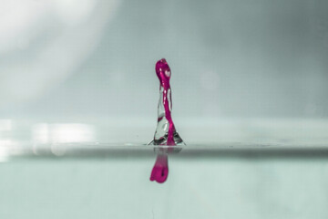 farbe tropfen wasser pink