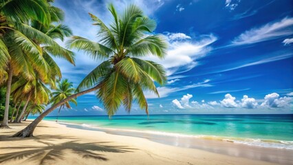 Sandy beach with palm trees and turquoise sea under blue sky, tropical, beach, summer, vacation, paradise, relaxation, palm trees, sand