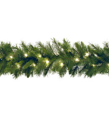 Obraz premium christmas tree branch 