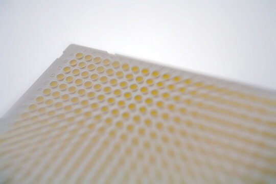 Manipulated version of 807 - Close-up of a white 384-well plate - shallow depth of field - natural light