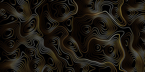 Fototapeta premium Luxury golden gradient color topography wave lines isolated on black background, Geography scheme vector, Contour topographic map background vector illustration. 
