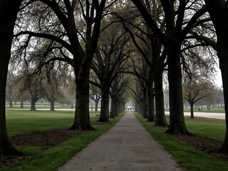 Fototapeta premium Walking through the park.