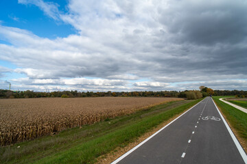 Bicycle Path in Rural Countryside under Cloudy Skies