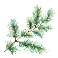 Fototapeta premium Pine branch watercolor isolated on transparent background