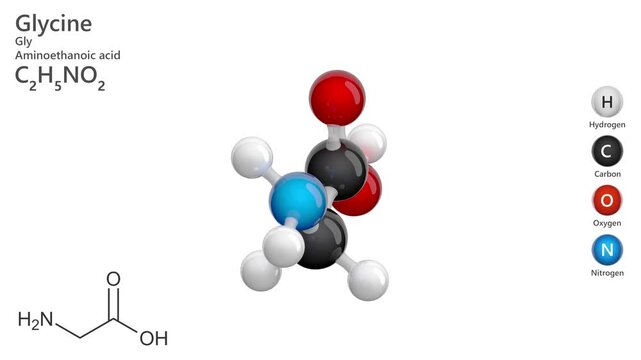 Glycine (Gly or G). Non-essential amino acid. Animated 3D model of a molecule. Molecular formula: C2H5NO2. Chemical model: Ball and sticks. White background. 3D rendering. Seamless loop.