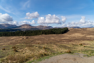This scenic landscape captures a tranquil view of rolling moorlands and dense evergreen forests, set against a backdrop of distant, sunlit hills under a blue sky dotted with fluffy white clouds.