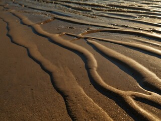 Wet beach sand with a wave trace in the outgoing sunlight.
