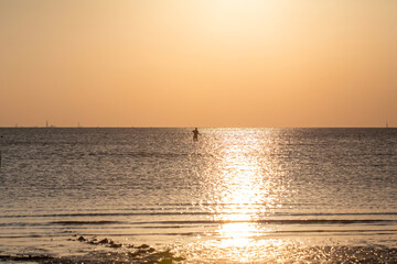 Fishermen are looking for shells on the beach