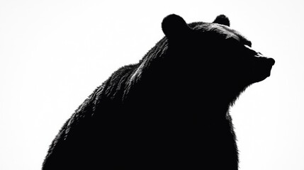Close-up of a black bear's face in monochrome