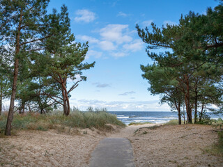 Dünenweg zum Strand 