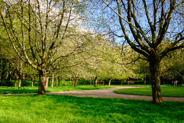 Naklejka premium Parc de Sceaux, France