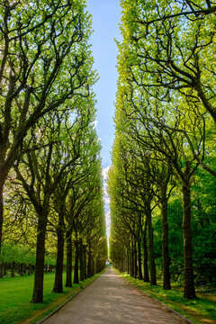 Parc de Sceaux, France