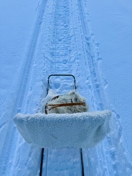 Winter day on the kicksled