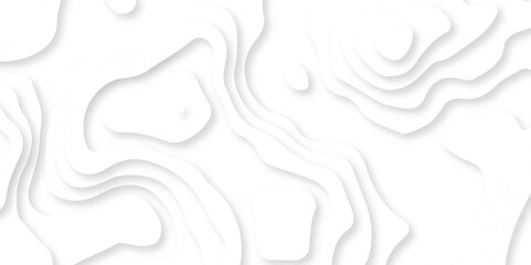 White paper cut decoration textured with wavy layers 3d topography relief background. 3d topography relief. Vector topographic illustration.