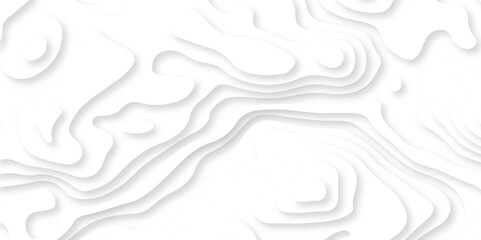 Obraz premium White paper cut decoration textured with wavy layers 3d topography relief background. Abstract white paper cut banner. Geometric layered curve line white