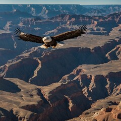 Fototapeta premium A bald eagle soaring above a vast canyon under a clear blue sky.