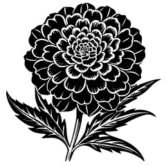 black and white flower