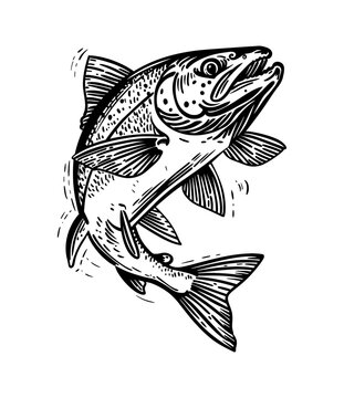 jumping black and white fish clip art preview