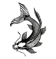 koi fish carp engraving black and white outline