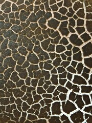 Obraz premium Black textured background is broken and cracked into pieces with a white underlayer showing through.