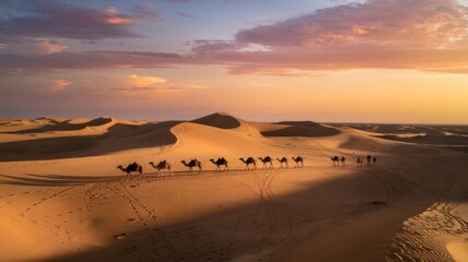 Golden sand dunes glowing under the evening sun.