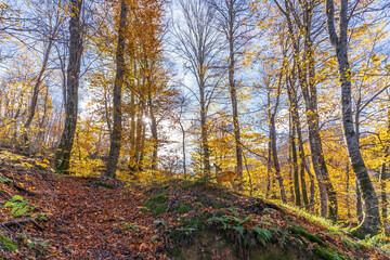 Obraz premium Suuctu waterfalls in Mustafakemalpasa, Bursa