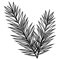 black and white feather