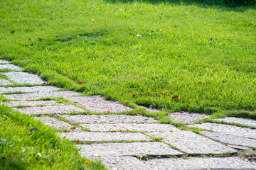 Beautiful lawn with gray stone pavers in the park, close-up view